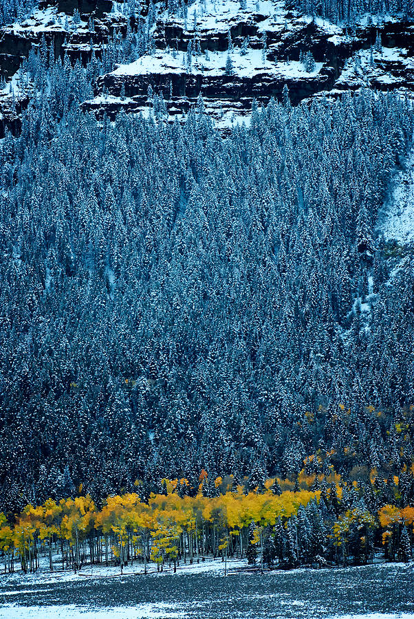 Yellowstone Fall Winter Photograph by Ed Broberg