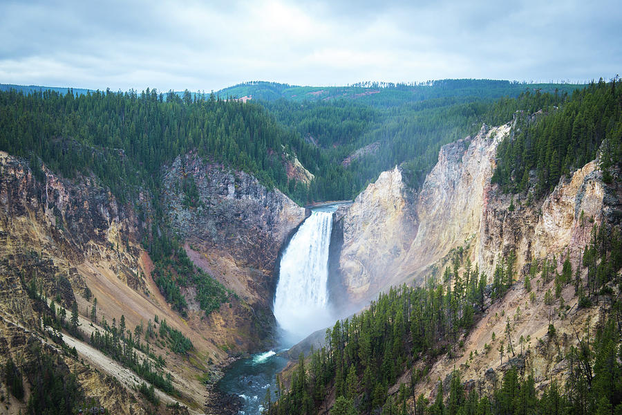 Yellowstone Falls Photograph by Aileen Savage