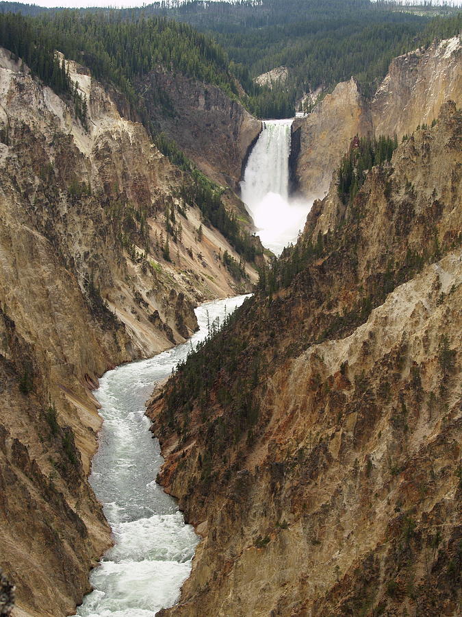 Yellowstone Falls And Grand Canyon Photograph by Reed Family Photos