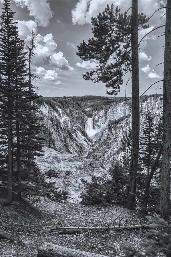 Yellowstone Falls Black and White Photograph by Chance Kafka