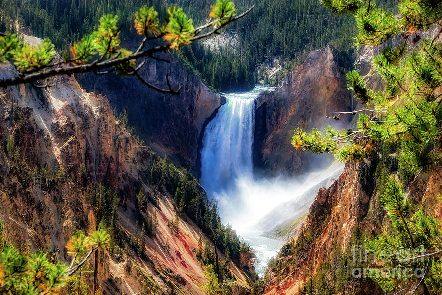 Yellowstone Falls with Flares Photograph by Roslyn Wilkins