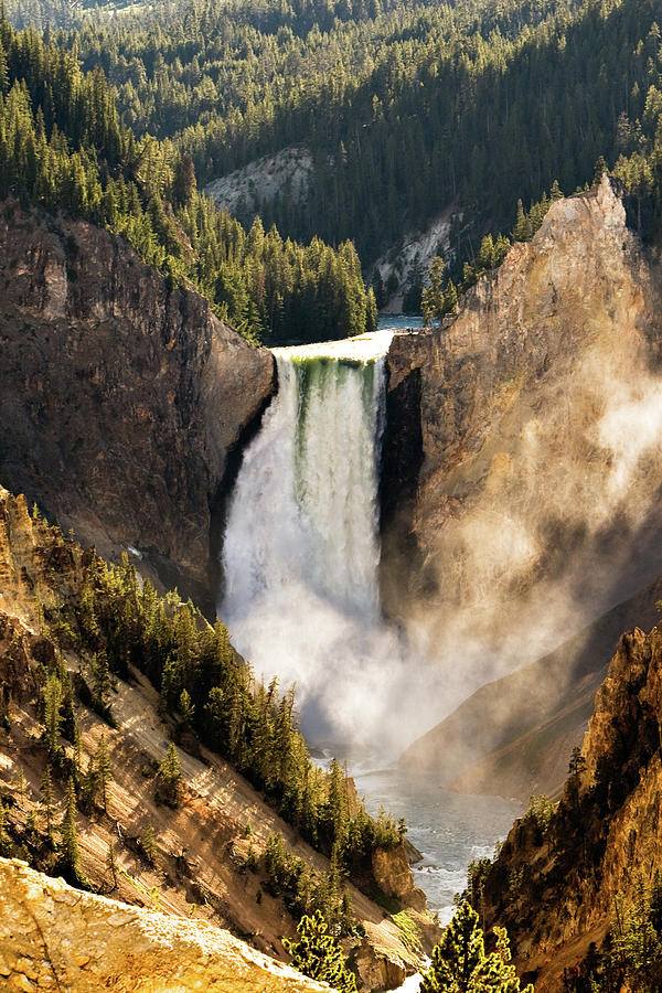 Yellowstone Falls Photograph by Lauzla