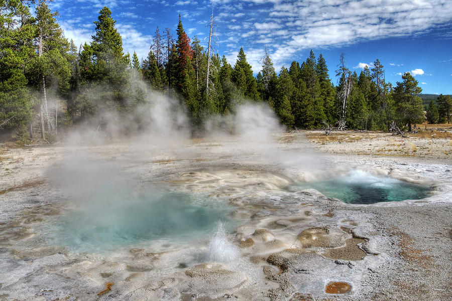 Yellowstone Geyser Photograph by Dbushue Photography