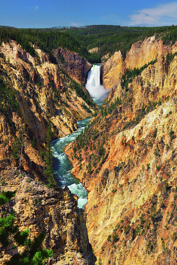 Yellowstone Grand Canyon From Artist Point Photograph by Greg Norrell
