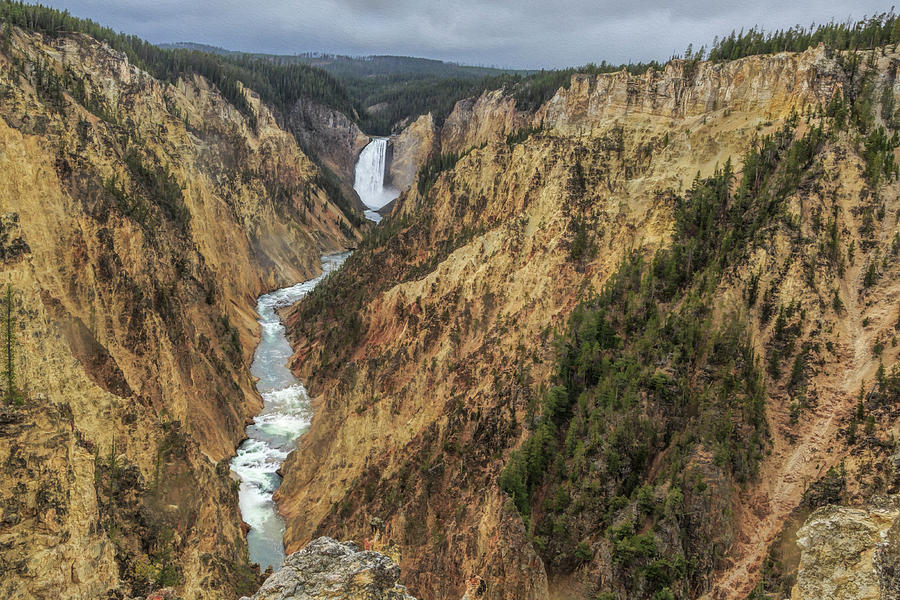 Yellowstone Grand Canyon - Lower Falls Photograph by Galloimages Online ...