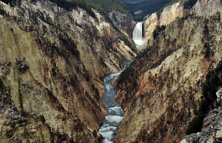 Yellowstone - Grand Canyon Photograph by Photo By Raj Mittra