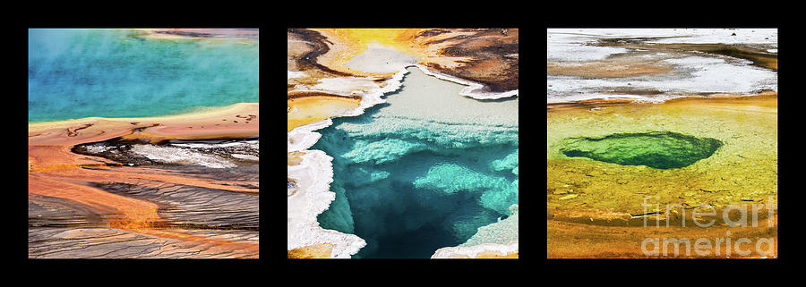 Yellowstone hot springs triptych Photograph by Delphimages Photo Creations