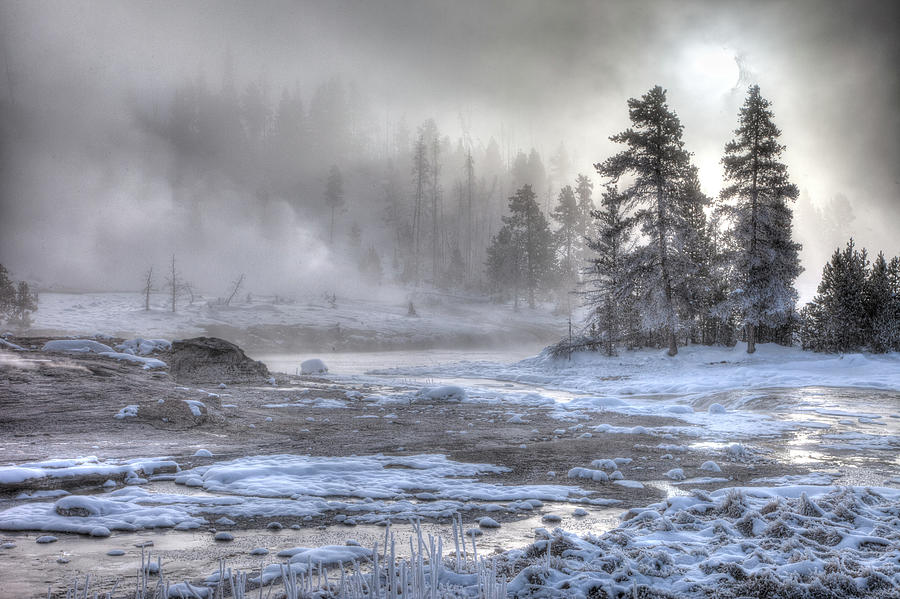 Yellowstone In Winter Photograph by Jan Maguire Photography