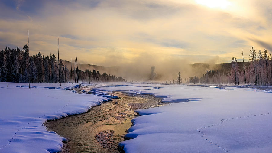 Yellowstone National Park Photograph - Yellowstone In Winter by Siyu And Wei Photography
