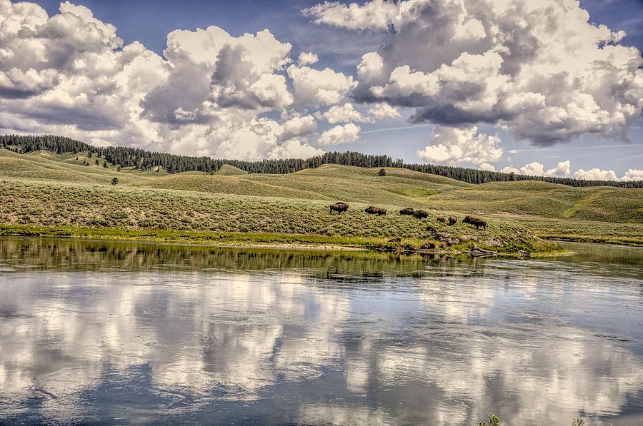 Yellowstone Lake and Bison Photograph by Chance Kafka