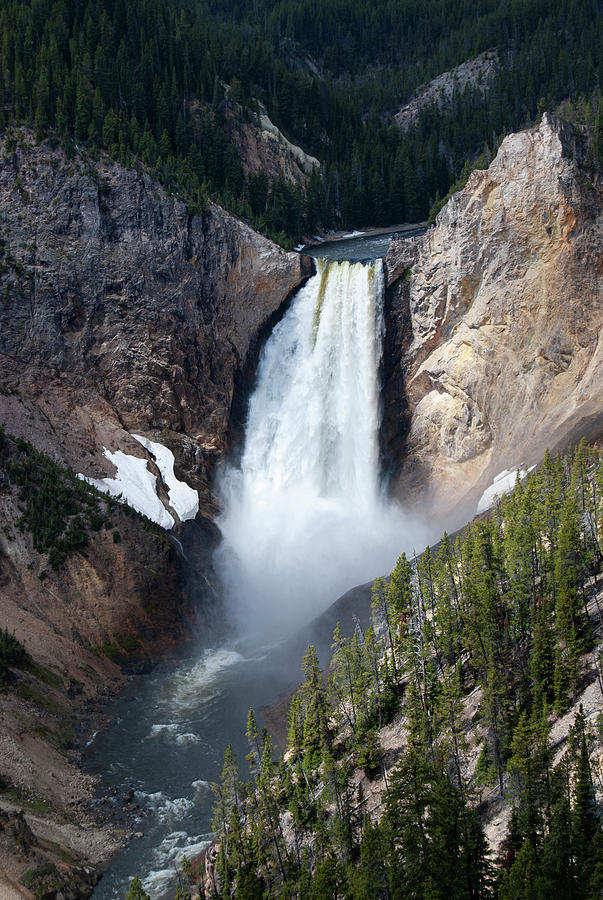 Yellowstone Lower Falls Digital Art by Gary Grayson
