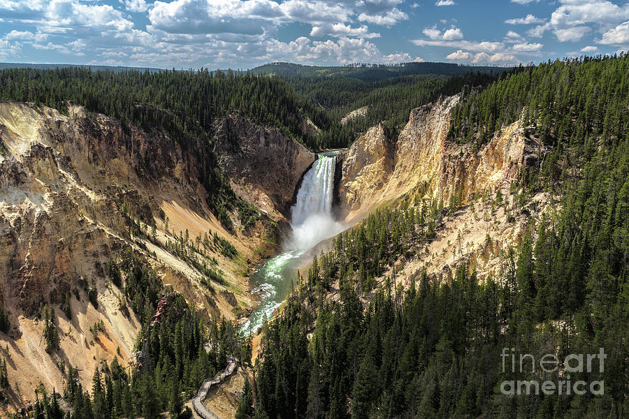 Yellowstone - Lower Falls Photograph by Steven Blackmon