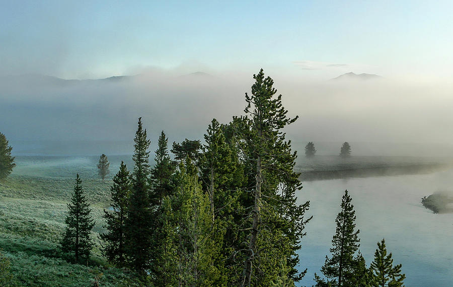 Yellowstone Morning Photograph by Ronnie And Frances Howard