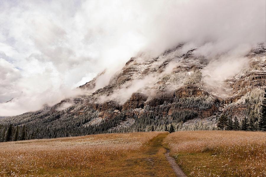 Yellowstone Mountain Trail Photograph by Sue Zeigler - Fine Art America