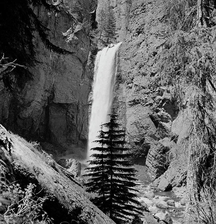 Yellowstone National Park Digital Art By Alfred Eisenstaedt Fine Art   Yellowstone National Park Alfred Eisenstaedt 