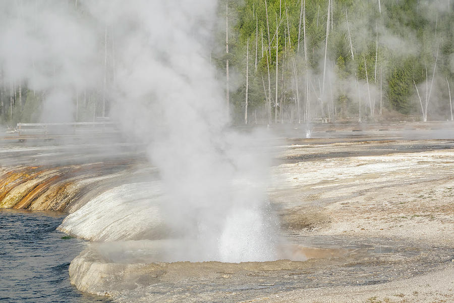 Yellowstone National Park, Biscuit Photograph by Ellen Goff - Fine Art ...