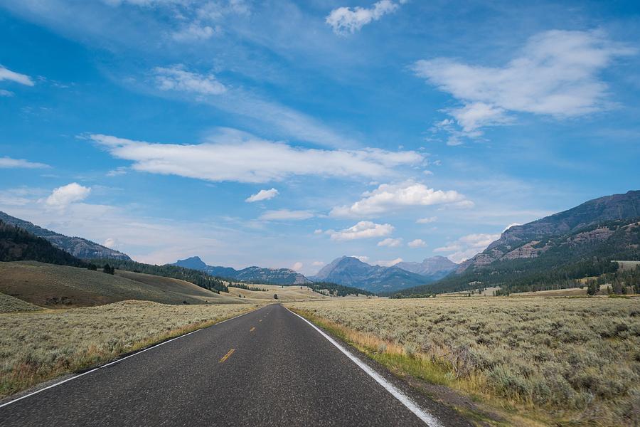 Yellowstone National Park Road by Michelle McConnell Yellowstone National Park Road by Michelle McConnell