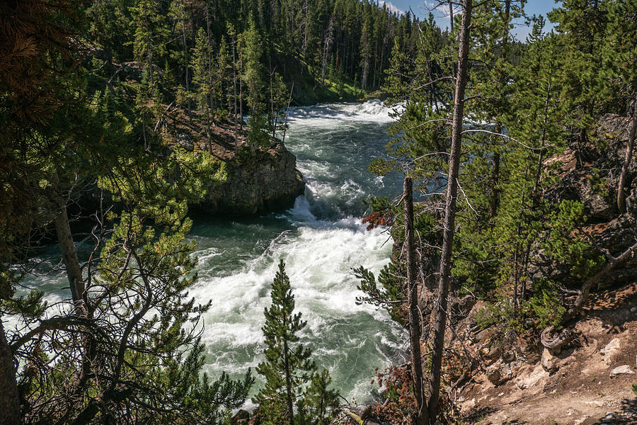 Yellowstone Rapids Photograph by Laurel Powell