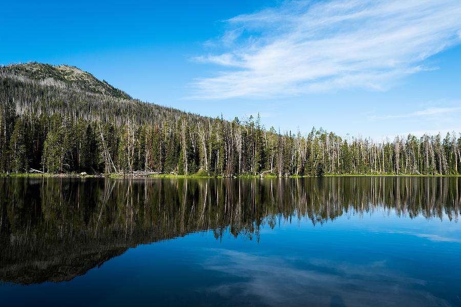 Yellowstone Reflective Lake by Michelle McConnell Yellowstone Reflective Lake by Michelle McConnell