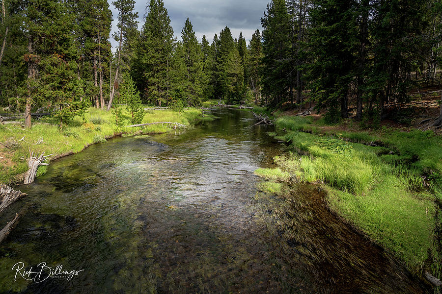 Yellowstone River 3 by Rick Billings Yellowstone River 3 by Rick Billings