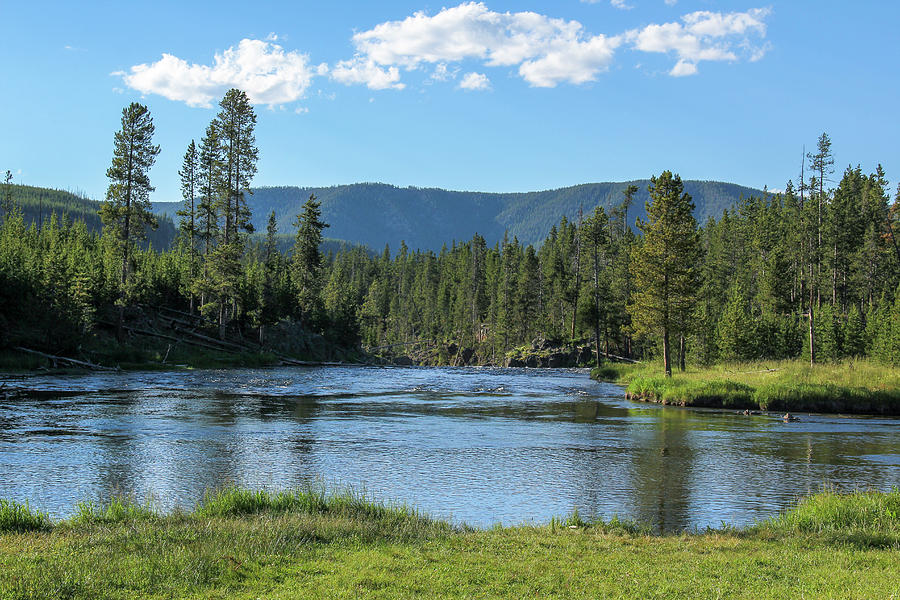 Yellowstone River Photograph by Amy Sorvillo - Fine Art America