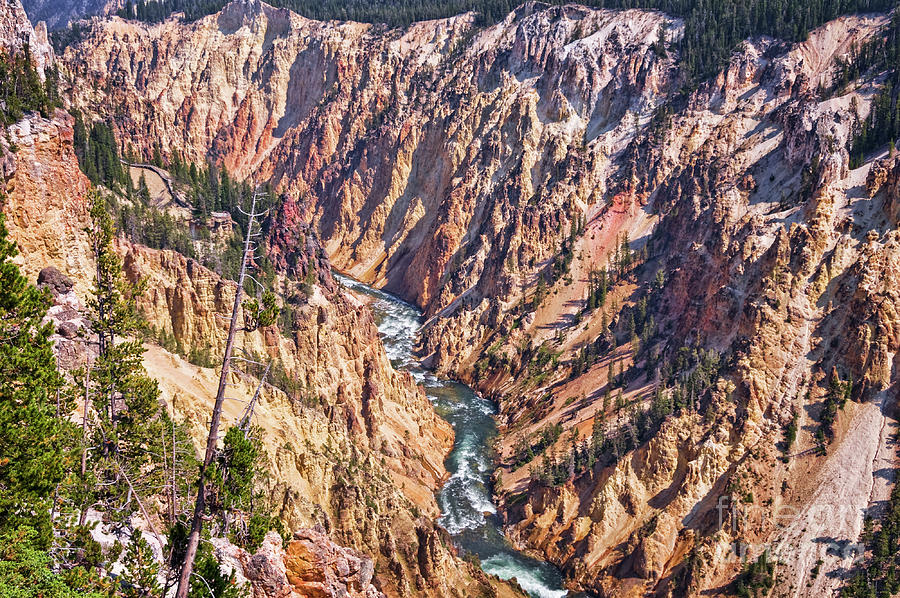 Yellowstone river and the Grand Canyon of the Yellowstone National Park Photograph by Delphimages Photo Creations