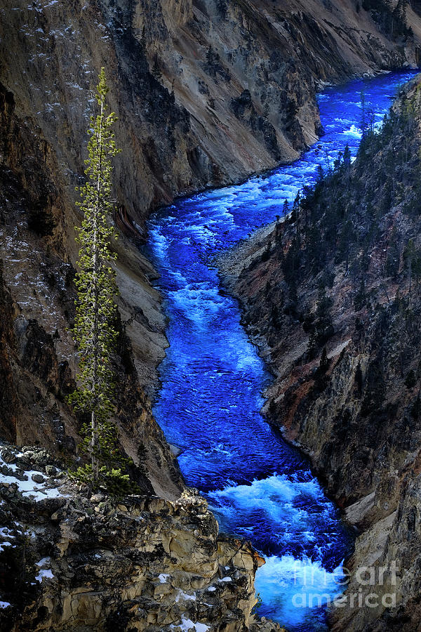 Yellowstone River Photograph by Lane Erickson