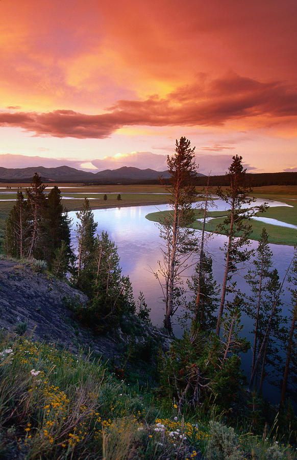 Yellowstone River Meandering Through Photograph by John Elk Iii