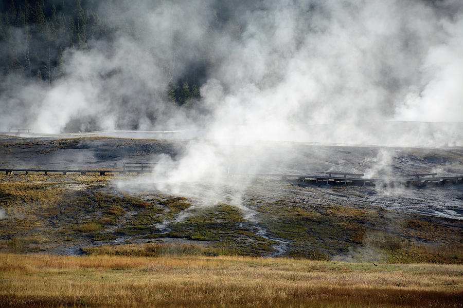 Yellowstone Steam 02 Photograph by Bruce Gourley