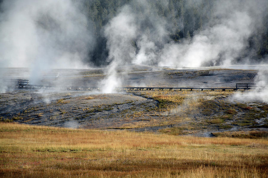 Yellowstone Steam 03 Photograph by Bruce Gourley