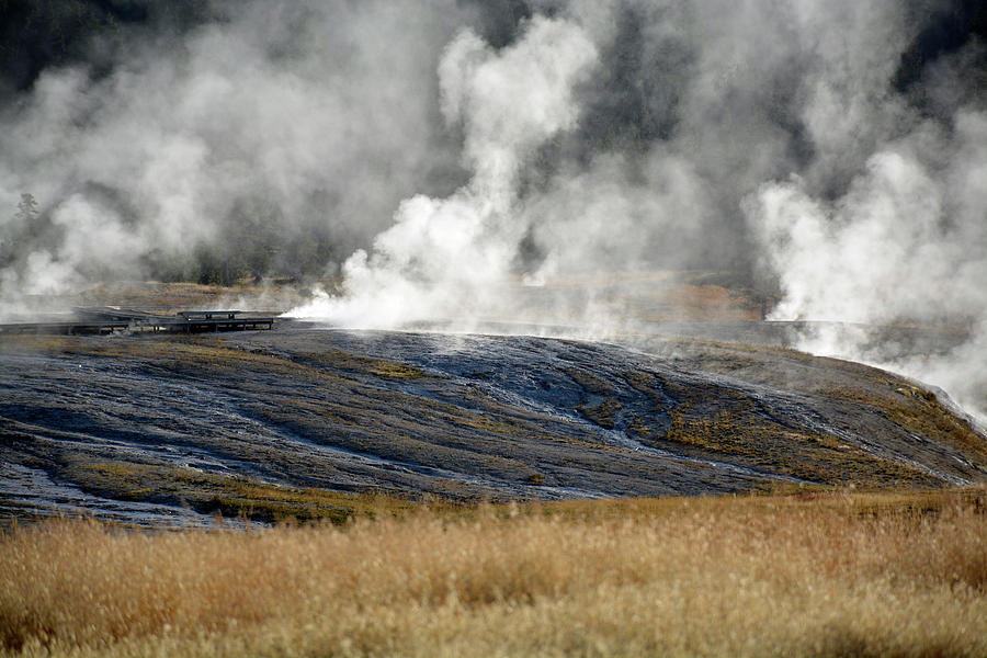 Yellowstone Steam Photograph by Bruce Gourley