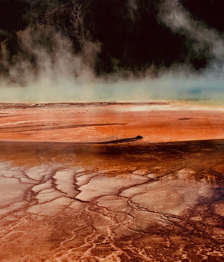 Yellowstone Steam Photograph by Joseph J Stevens