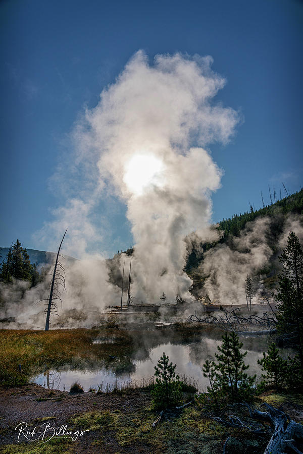 Yellowstone Sunrise Geyser No 1082 by Rick Billings Yellowstone Sunrise Geyser No 1082 by Rick Billings