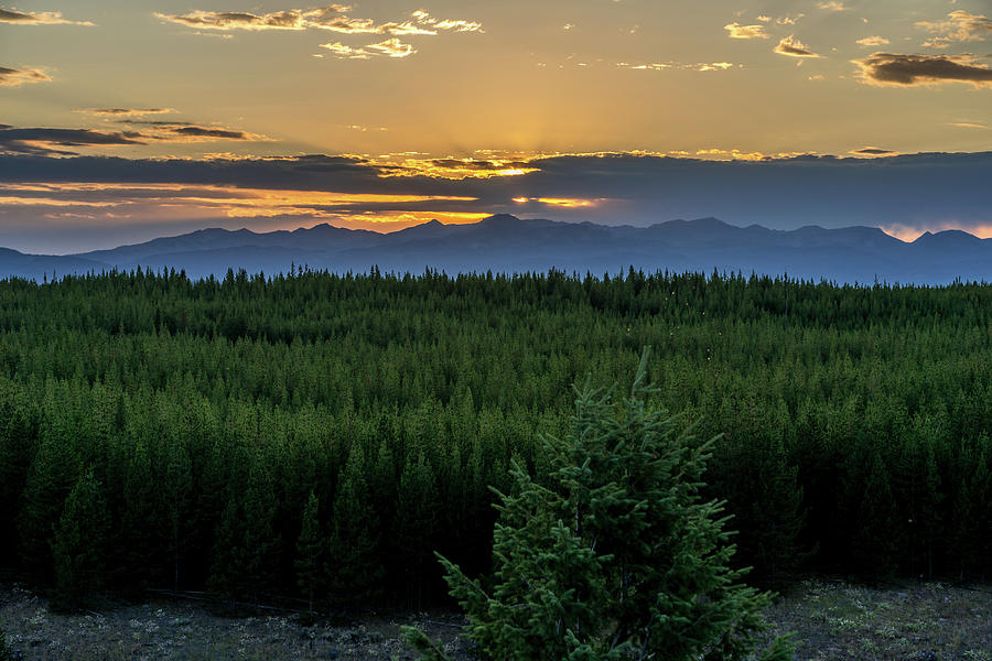 Yellowstone Sunset 2 by Rick Billings Yellowstone Sunset 2 by Rick Billings