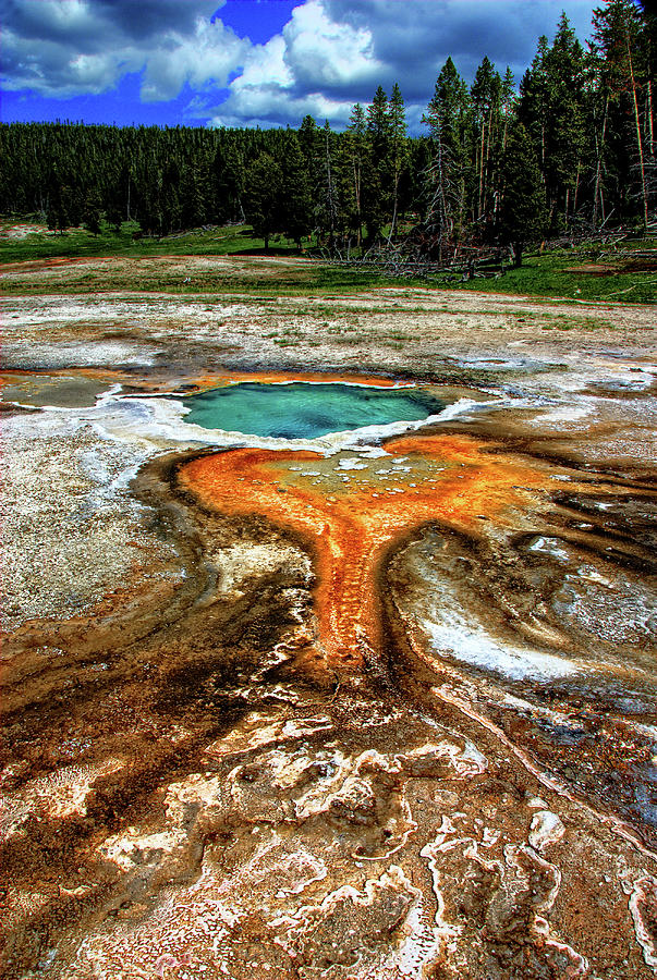 Yellowstone Thermal Pool Photograph by Bill Wight Ca