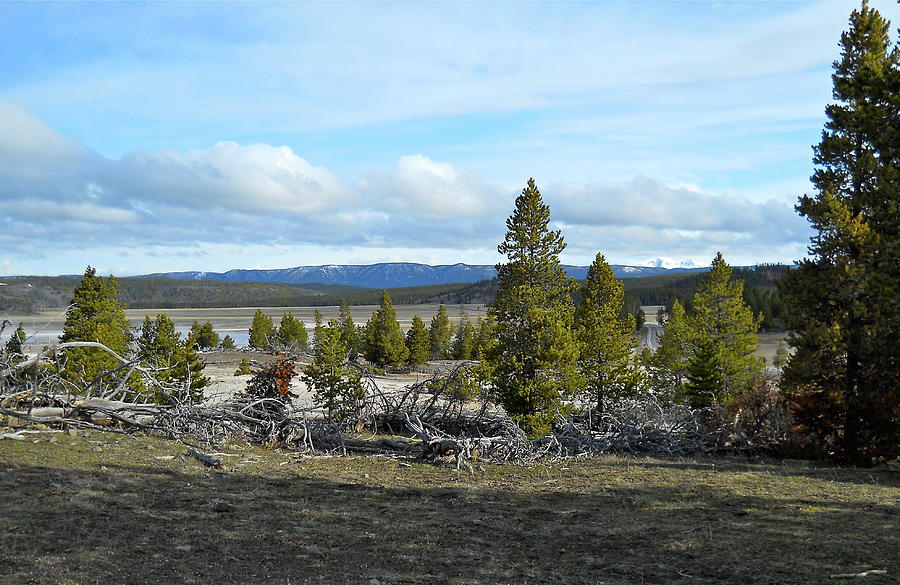 Yellowstone Valley Springtime Photograph by Michele Myers