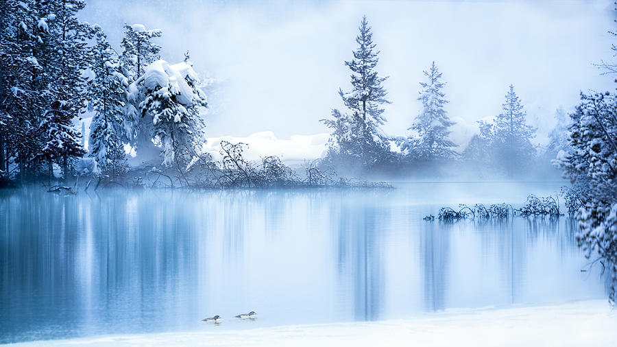 Yellowstone National Park Photograph - Yellowstone Winter Scene 6 by Siyu And Wei Photography