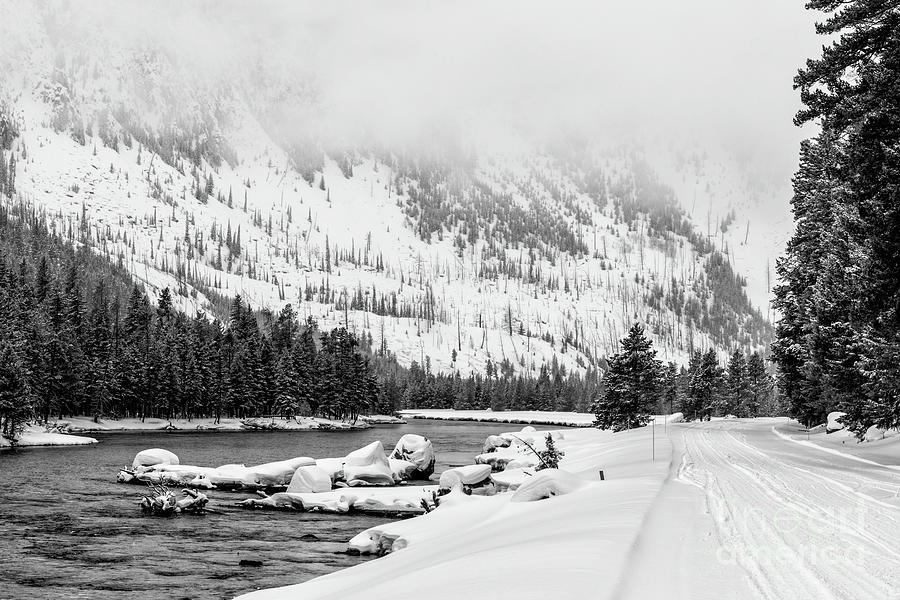 Yellowstone Winter Scenery 1 Photograph by Timothy Hacker