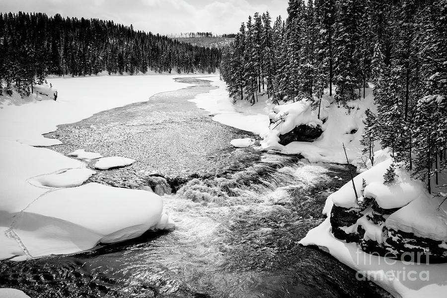 Yellowstone Winter Scenery 2 Photograph by Timothy Hacker