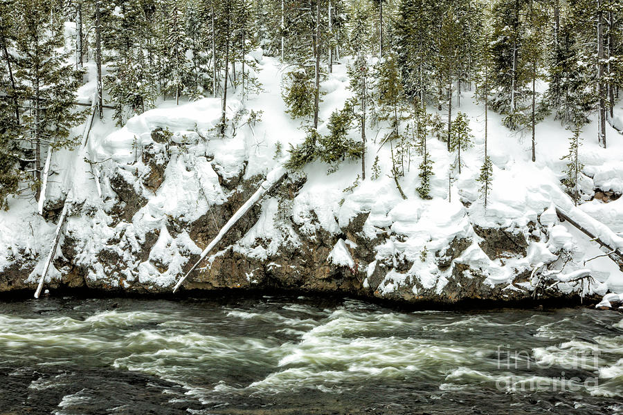 Yellowstone Winter Scenery 3 Photograph by Timothy Hacker