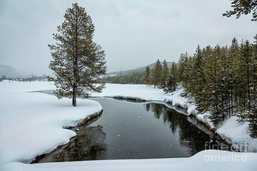 Yellowstone Winter Scenery Photograph by Timothy Hacker