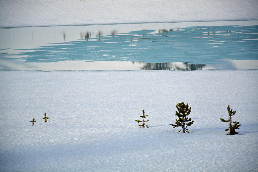 Yellowstones Divide Lake in Deep Winter Photograph by Bruce Gourley