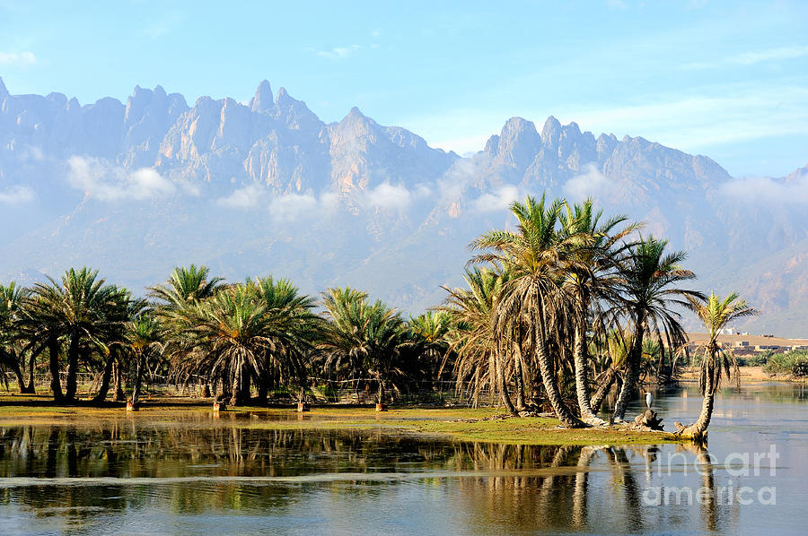 Yemen Socotra Island Small Oasis Photograph by Alex7370