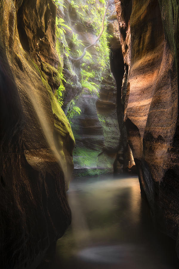 Yileen Canyon Photograph by Yan Zhang