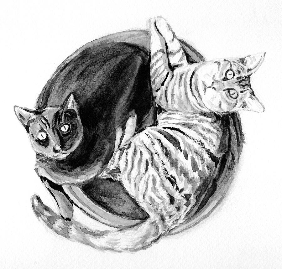 Illustration Yin Yang cats