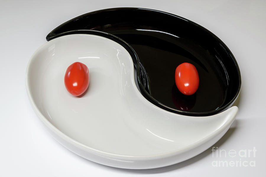 Yin and Yang in Black, White and Red Photograph by Wendy Wilton