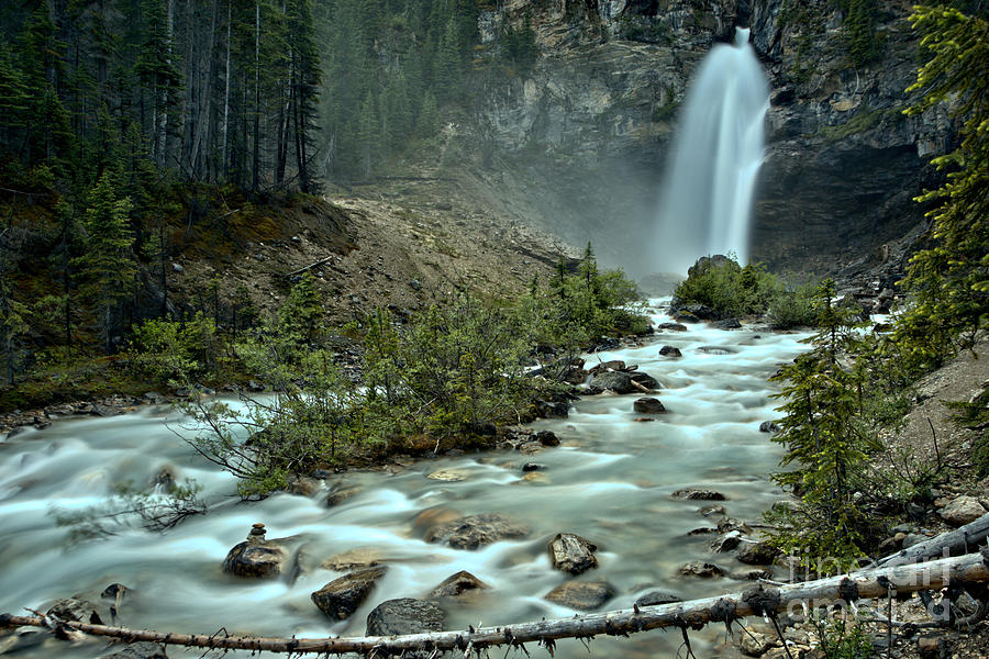 Yoho Laughing Falls In The Woods Photograph by Adam Jewell