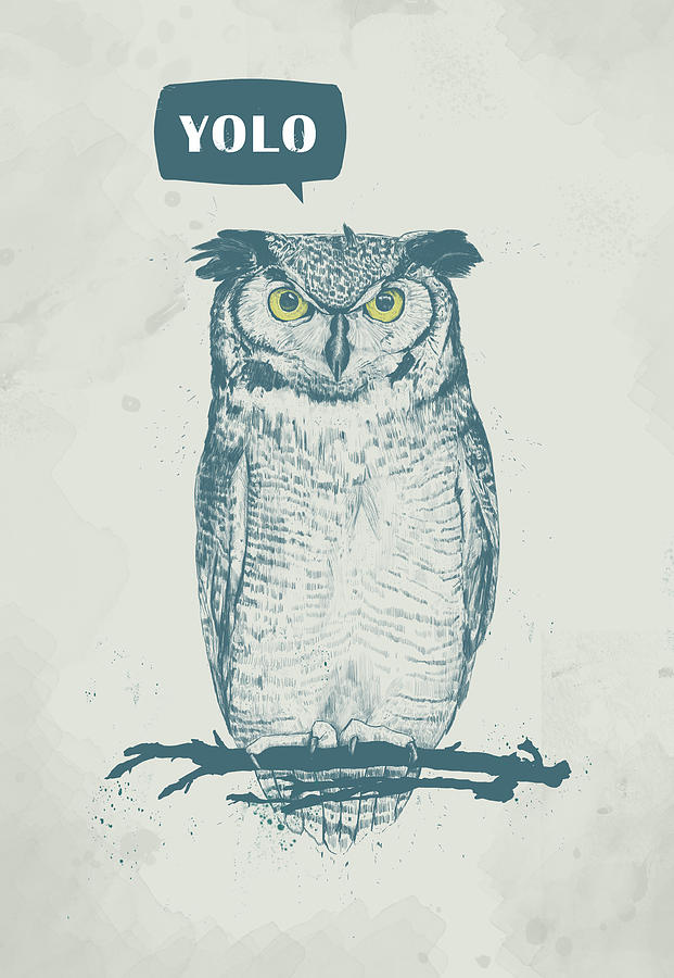 Owl Mixed Media - Yolo by Balazs Solti