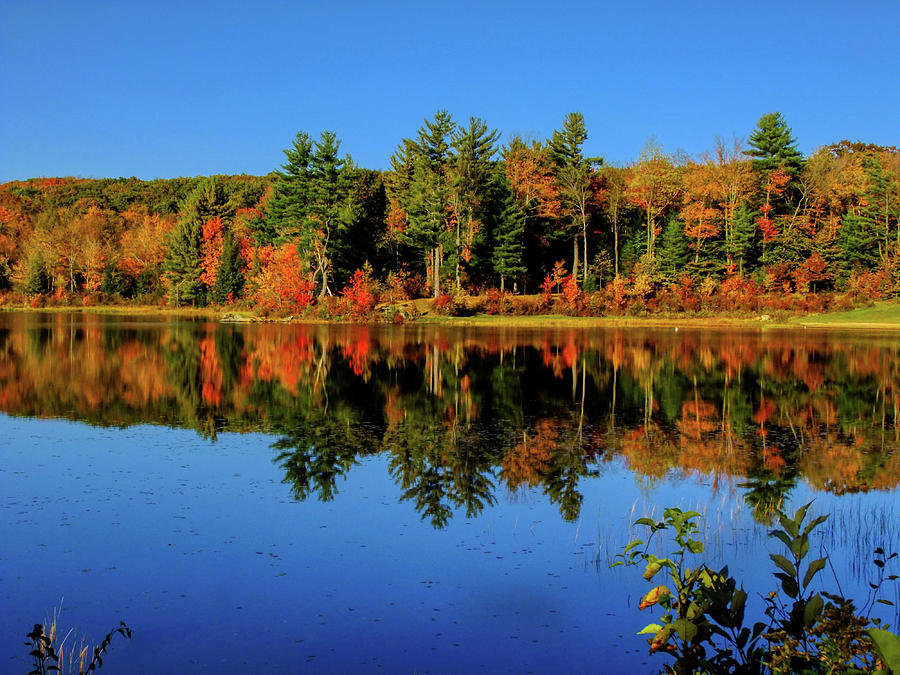 York Lake Autumn Photograph by Chris Washburn - Fine Art America