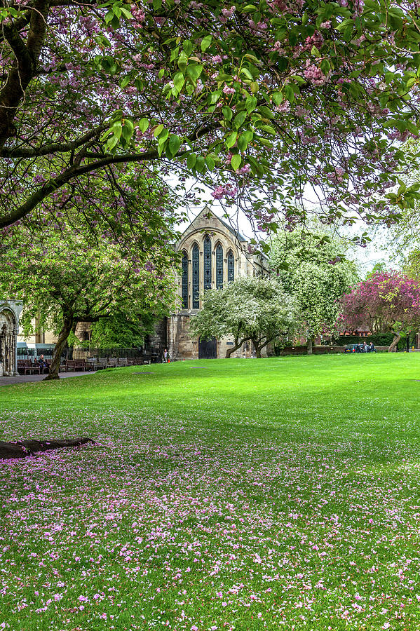 York Minster Library in Spring Photograph by W Chris Fooshee